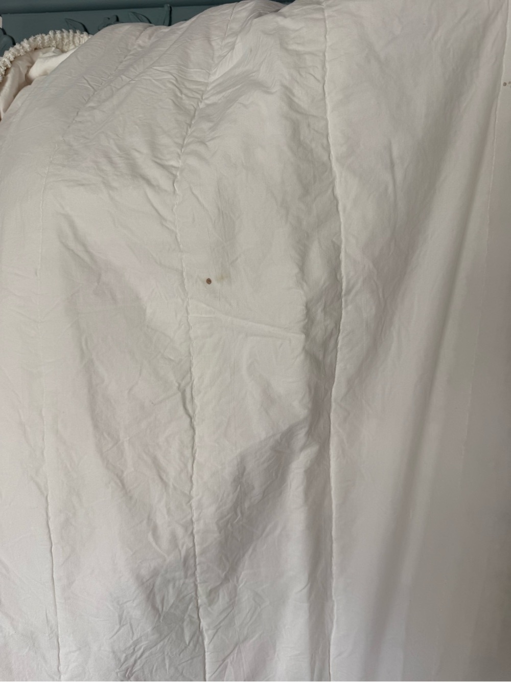 Shabby chic comforter twin (minor flaw) - Picture 3 of 7